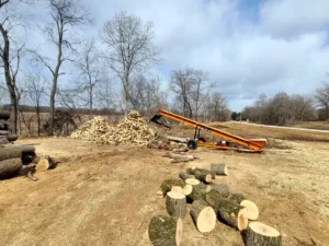firewood-sale-image